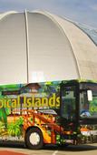 Туры в отель Tropical Islands Resort