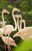 Туры в отель Tropical Islands Resort