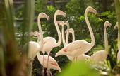 Туры в отель Tropical Islands Resort