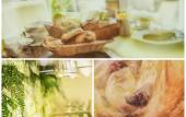 Туры в отель Best Western Plus Hotel Richelieu