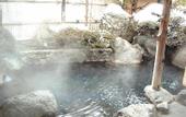 Туры в отель Ryokan Gizan