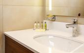 Туры в отель Hilton Garden Inn Wiener Neustadt