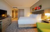 Туры в отель Hilton Garden Inn Wiener Neustadt