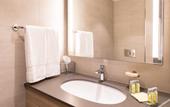 Туры в отель Hilton Garden Inn Wiener Neustadt