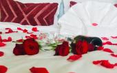 Туры в отель The Anthony Hotel