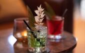 Туры в отель Qube Hotel Bahnstadt