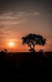 Туры в отель Honeyguide Khoka Moya Camp