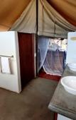 Туры в отель Honeyguide Khoka Moya Camp