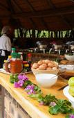 Туры в отель Honeyguide Khoka Moya Camp