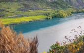 Туры в отель La Quinta by Wyndham Remarkables Park Queenstown