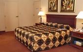Туры в отель Holiday Inn French Quarter