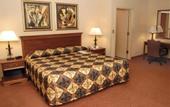 Туры в отель Holiday Inn French Quarter