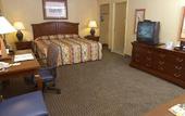 Туры в отель Holiday Inn French Quarter