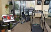 Туры в отель Holiday Inn French Quarter