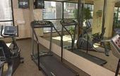 Туры в отель Holiday Inn French Quarter