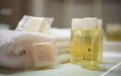 Туры в отель ACE Hotel Toulouse