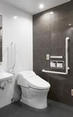 Туры в отель Daiwa Roynet Hotel Kagoshima Tenmonkan PREMIER