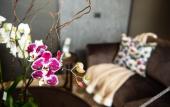 Туры в отель Gold Tower Lifestyle Hotel