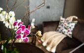 Туры в отель Gold Tower Lifestyle Hotel