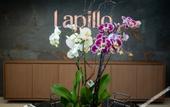 Туры в отель Gold Tower Lifestyle Hotel