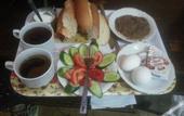Туры в отель Freedom Hostel