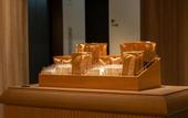Туры в отель insomnia KYOTO OIKE