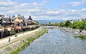 Туры в отель insomnia KYOTO OIKE