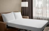 Туры в отель AC Hotel Lansing University Area
