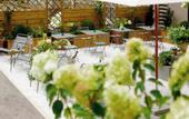 Туры в отель Villa Dahlia