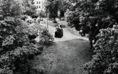 Туры в отель Villa Dahlia