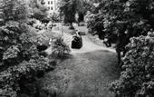Туры в отель Villa Dahlia