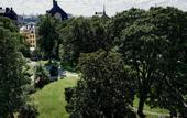 Туры в отель Villa Dahlia