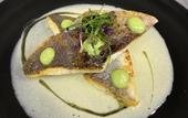 Туры в отель Mercure Toulouse Aeroport Blagnac