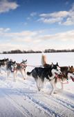 Туры в отель InterContinental Sapporo by IHG