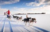 Туры в отель InterContinental Sapporo by IHG