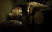 Туры в отель Areni Wine Art
