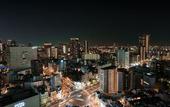 Туры в отель Hotel Hanshin Osaka