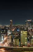 Туры в отель Hotel Hanshin Osaka