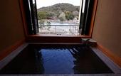 Туры в отель Kyoto Uji Hanayashiki Ukifune-en