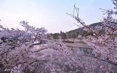 Туры в отель Kyoto Uji Hanayashiki Ukifune-en