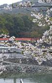 Туры в отель Kyoto Uji Hanayashiki Ukifune-en