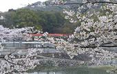 Туры в отель Kyoto Uji Hanayashiki Ukifune-en