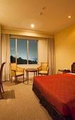 Туры в отель Narita Gateway Hotel