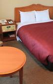 Туры в отель Narita Gateway Hotel