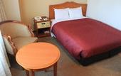 Туры в отель Narita Gateway Hotel