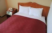 Туры в отель Narita Gateway Hotel