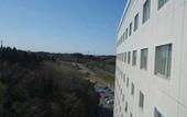 Туры в отель Narita Gateway Hotel