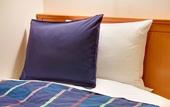 Туры в отель Roco Inn Okinawa