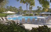 Туры в отель Saddlebrook Resort