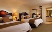 Туры в отель Saddlebrook Resort
